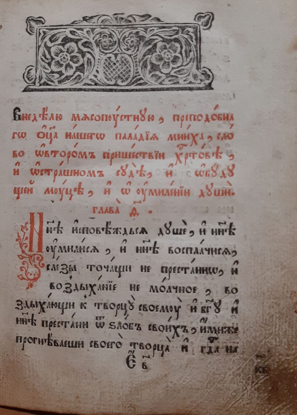 Цветник Цветник